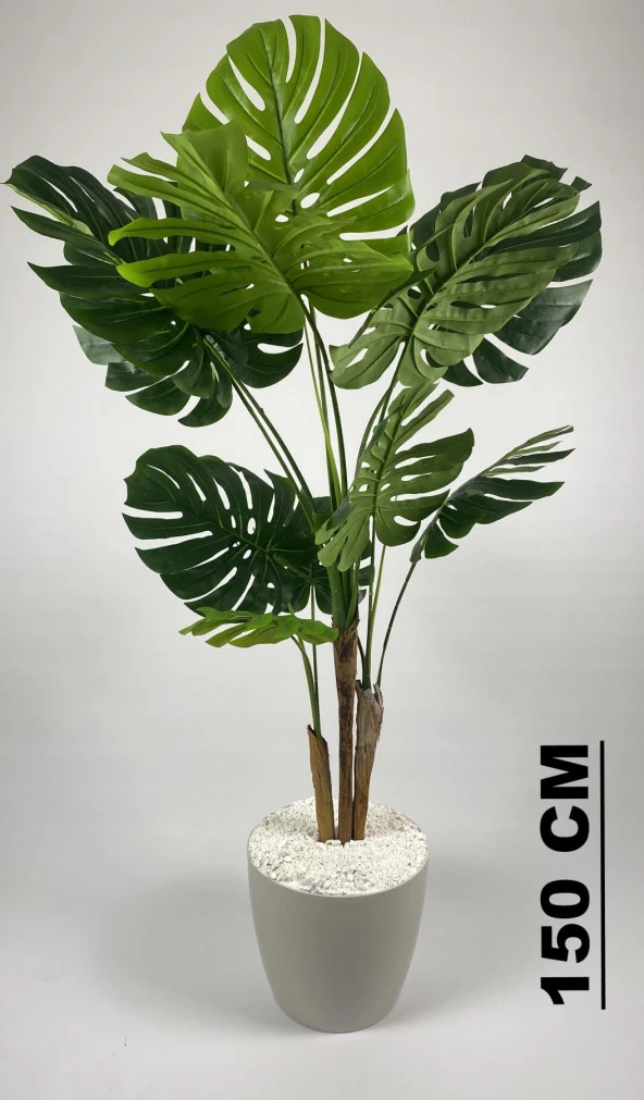 BİÇİÇEK YAPAY AĞAÇ MONSTERA BAMBU GÖVDELİ 150CM DEVETABANI AĞACI BÜYÜK BOY KIRIKBEYAZ RENK YAKUT SAKSIDA - 2