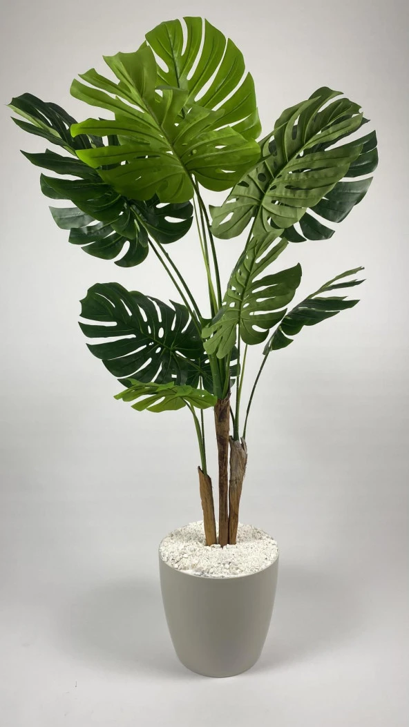 BİÇİÇEK YAPAY AĞAÇ MONSTERA BAMBU GÖVDELİ 150CM DEVETABANI AĞACI BÜYÜK BOY KIRIKBEYAZ RENK YAKUT SAKSIDA - 3