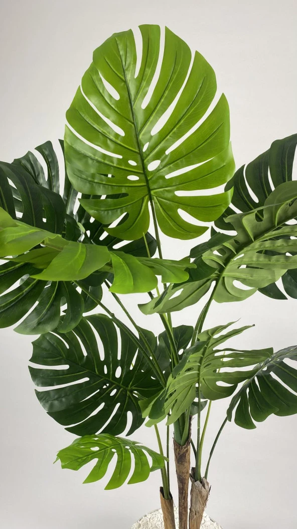 BİÇİÇEK YAPAY AĞAÇ MONSTERA BAMBU GÖVDELİ 150CM DEVETABANI AĞACI BÜYÜK BOY KIRIKBEYAZ RENK YAKUT SAKSIDA - 4