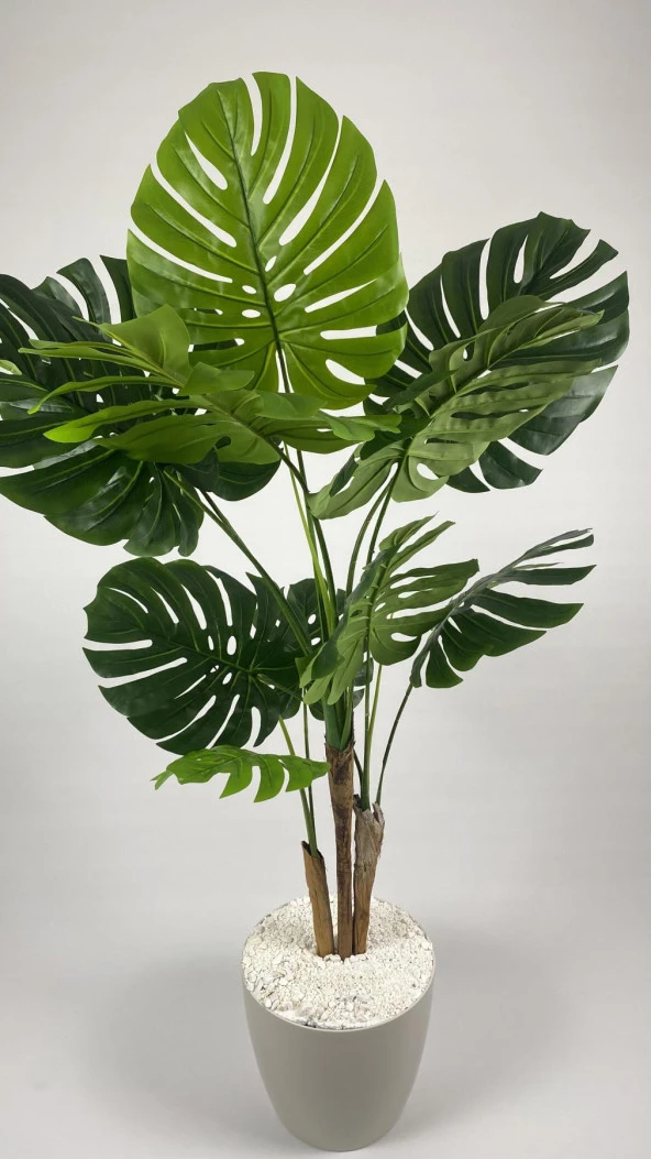 BİÇİÇEK YAPAY AĞAÇ MONSTERA BAMBU GÖVDELİ 150CM DEVETABANI AĞACI BÜYÜK BOY KIRIKBEYAZ RENK YAKUT SAKSIDA - 5