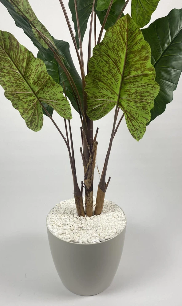 BİÇİÇEK YAPAY AĞAÇ STARLİÇE KAHVERENGİ DİFENBAHYA BAMBU GÖVDELİ 220CM BÜYÜK BOY KIRIKBEYAZ RENK YAKUT SAKSI