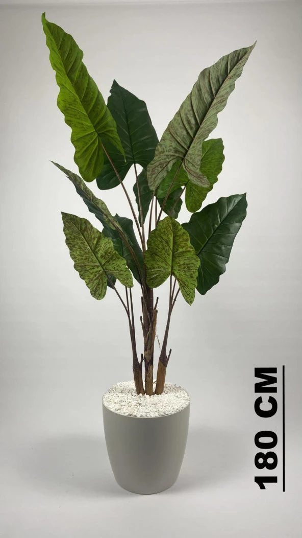 BİÇİÇEK YAPAY AĞAÇ STARLİÇE KAHVERENGİ DİFENBAHYA BAMBU GÖVDELİ 220CM BÜYÜK BOY KIRIKBEYAZ RENK YAKUT SAKSI - 2