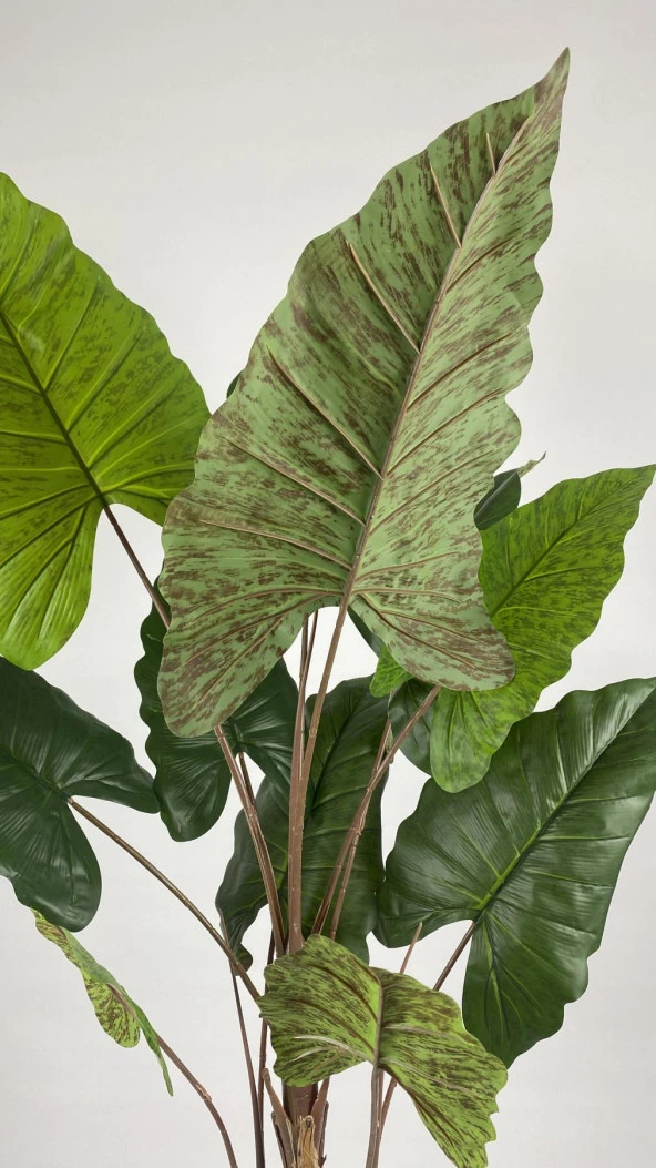 BİÇİÇEK YAPAY AĞAÇ STARLİÇE KAHVERENGİ DİFENBAHYA BAMBU GÖVDELİ 220CM BÜYÜK BOY KIRIKBEYAZ RENK YAKUT SAKSI - 3