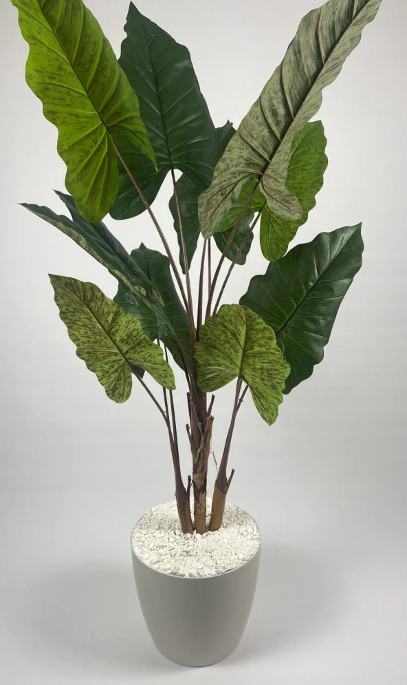 BİÇİÇEK YAPAY AĞAÇ STARLİÇE KAHVERENGİ DİFENBAHYA BAMBU GÖVDELİ 220CM BÜYÜK BOY KIRIKBEYAZ RENK YAKUT SAKSI - 4