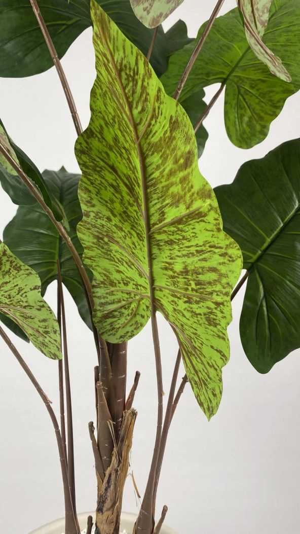 BİÇİÇEK YAPAY AĞAÇ STARLİÇE KAHVERENGİ DİFENBAHYA BAMBU GÖVDELİ 240CM BÜYÜK BOY KIRIKBEYAZ RENK NERGİS SAKSI