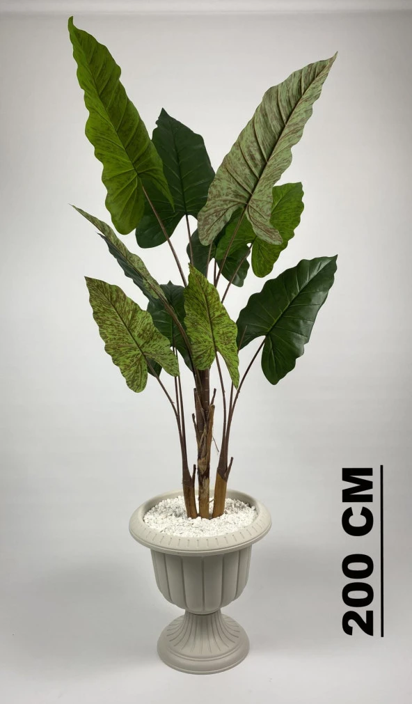 BİÇİÇEK YAPAY AĞAÇ STARLİÇE KAHVERENGİ DİFENBAHYA BAMBU GÖVDELİ 240CM BÜYÜK BOY KIRIKBEYAZ RENK NERGİS SAKSI - 2