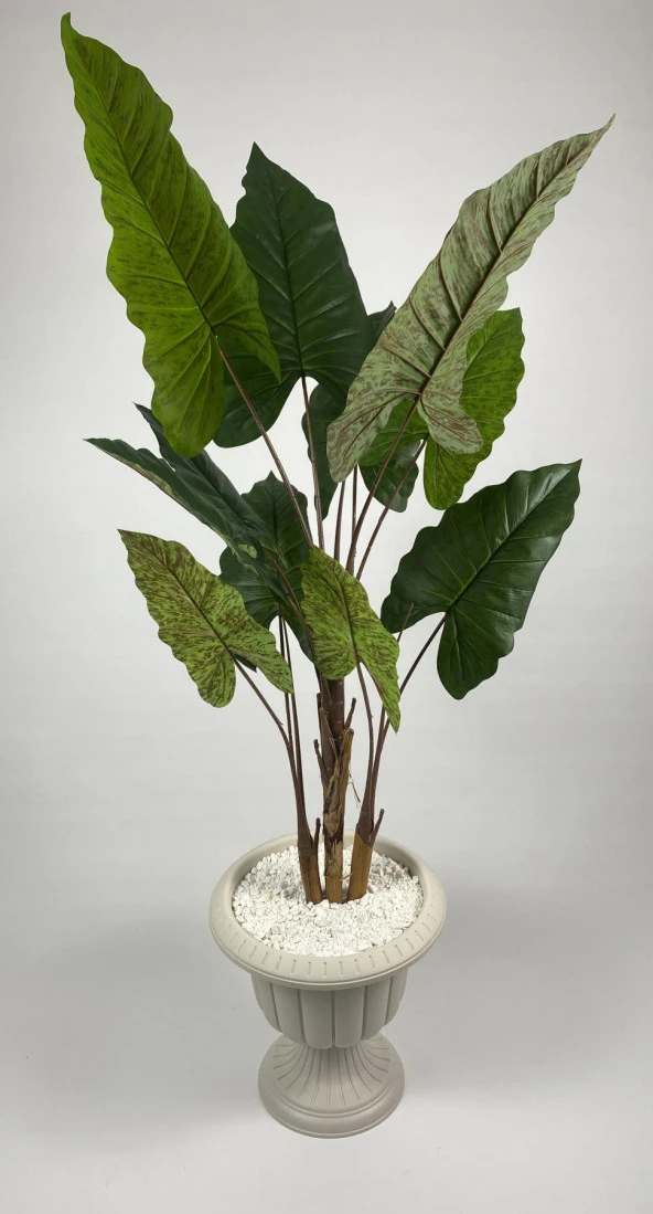 BİÇİÇEK YAPAY AĞAÇ STARLİÇE KAHVERENGİ DİFENBAHYA BAMBU GÖVDELİ 240CM BÜYÜK BOY KIRIKBEYAZ RENK NERGİS SAKSI - 3