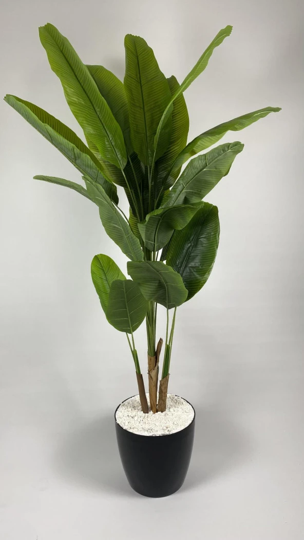 BİÇİÇEK YAPAY AĞAÇ STARLİÇE BAMBU GÖVDELİ 220CM BÜYÜK BOY SİYAH RENK YAKUT SAKSIDA