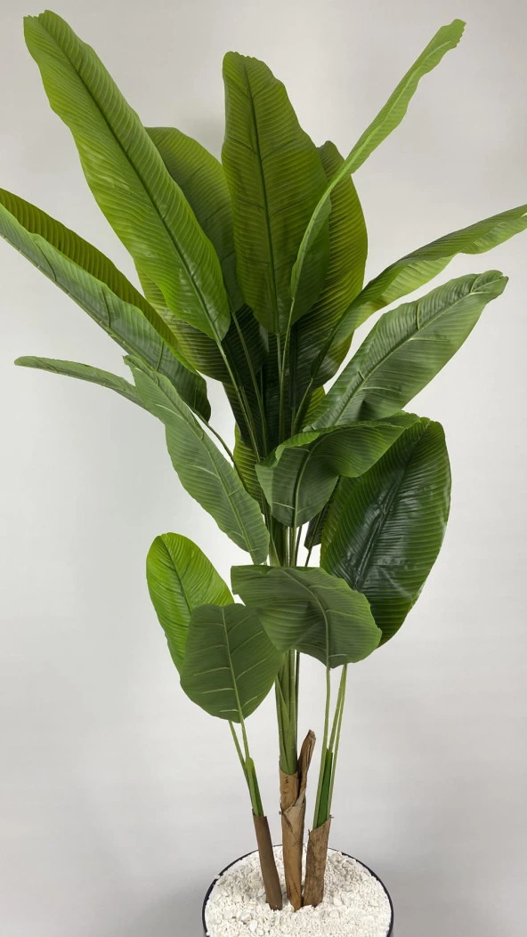 BİÇİÇEK YAPAY AĞAÇ STARLİÇE BAMBU GÖVDELİ 220CM BÜYÜK BOY SİYAH RENK YAKUT SAKSIDA - 4