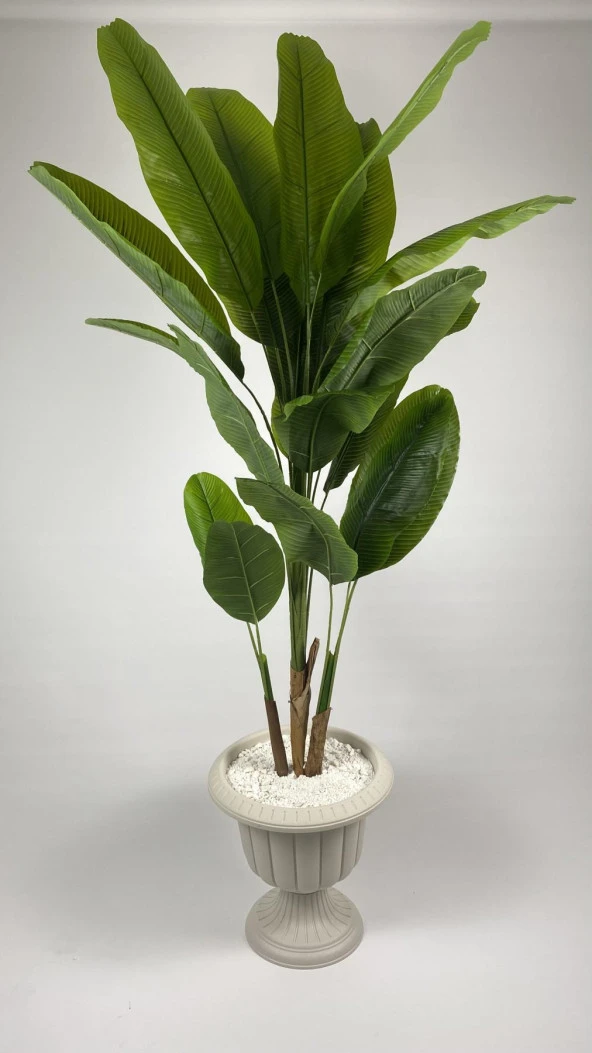 BİÇİÇEK   YAPAY AĞAÇ STARLİÇE BAMBU GÖVDELİ 240CM BÜYÜK BOY KIRIKBEYAZ RENK NERGİS SAKSIDA ÜÇ BOY YAPAY AĞAÇ - Resim 3