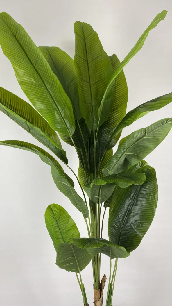 BİÇİÇEK   YAPAY AĞAÇ STARLİÇE BAMBU GÖVDELİ 240CM BÜYÜK BOY KIRIKBEYAZ RENK NERGİS SAKSIDA ÜÇ BOY YAPAY AĞAÇ - Resim 4