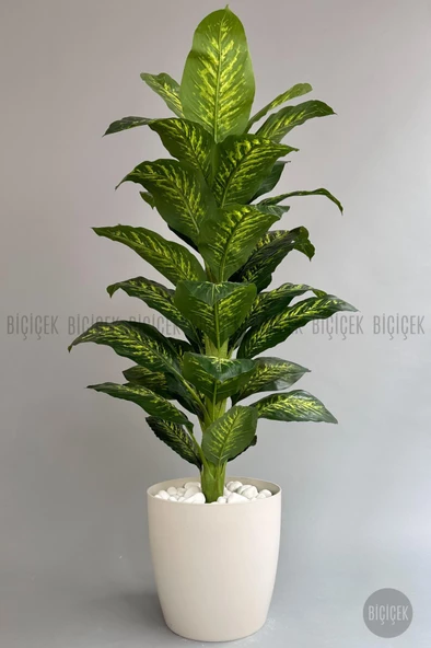 BİÇİÇEK YAPAY AĞAÇ DİFENBAHYA BAMBU GÖVDELİ 180CM BÜYÜK BOY KIRIKBEYAZ RENK YAKUT SAKSIDA