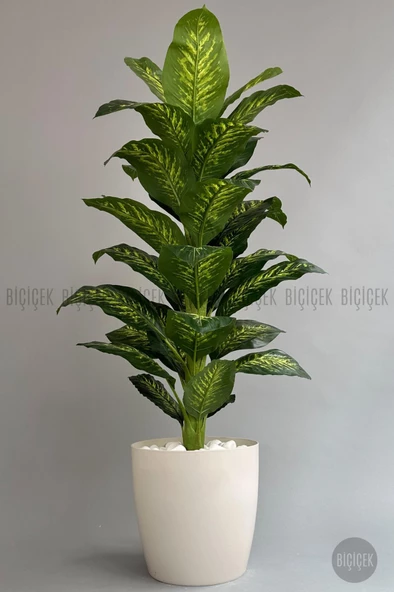 BİÇİÇEK YAPAY AĞAÇ DİFENBAHYA BAMBU GÖVDELİ 180CM BÜYÜK BOY KIRIKBEYAZ RENK YAKUT SAKSIDA - 3