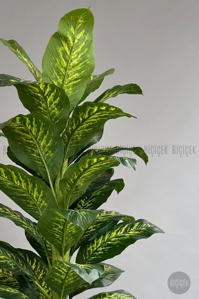 BİÇİÇEK YAPAY AĞAÇ DİFENBAHYA BAMBU GÖVDELİ 180CM BÜYÜK BOY KIRIKBEYAZ RENK YAKUT SAKSIDA - 9