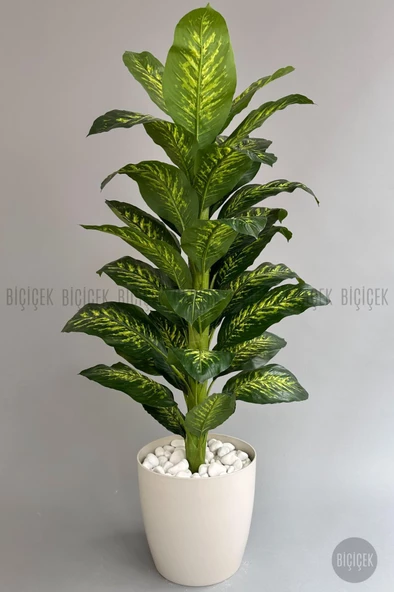 BİÇİÇEK YAPAY AĞAÇ DİFENBAHYA BAMBU GÖVDELİ 180CM BÜYÜK BOY KIRIKBEYAZ RENK YAKUT SAKSIDA - 5