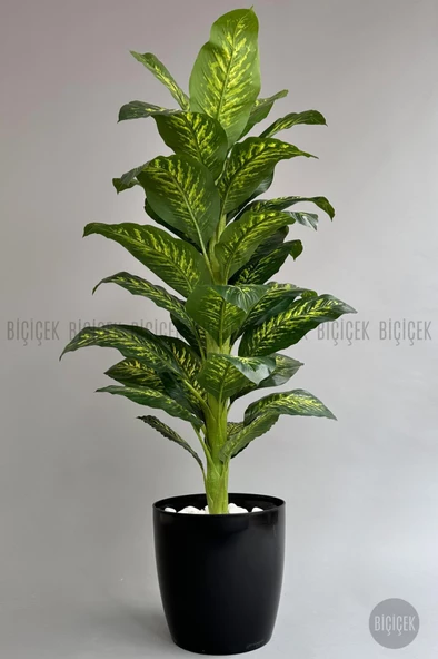 BİÇİÇEK YAPAY AĞAÇ DİFENBAHYA BAMBU GÖVDELİ 180CM BÜYÜK BOY KIRIKBEYAZ RENK YAKUT SAKSIDA - 6