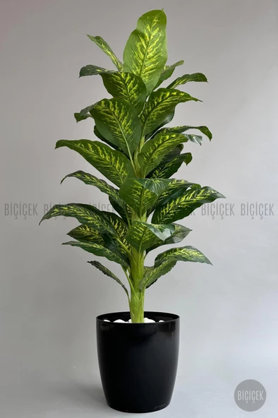 BİÇİÇEK YAPAY AĞAÇ DİFENBAHYA BAMBU GÖVDELİ 180CM BÜYÜK BOY KIRIKBEYAZ RENK YAKUT SAKSIDA - 11