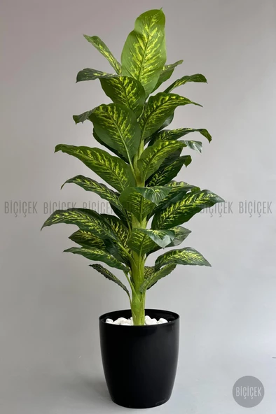 BİÇİÇEK YAPAY AĞAÇ DİFENBAHYA BAMBU GÖVDELİ 180CM BÜYÜK BOY KIRIKBEYAZ RENK YAKUT SAKSIDA - 12