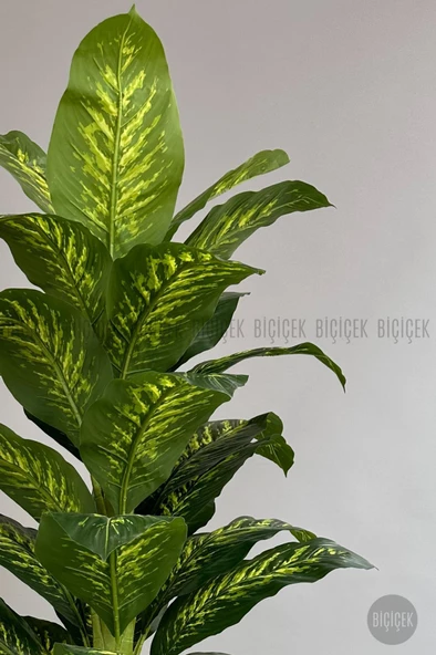 BİÇİÇEK YAPAY AĞAÇ DİFENBAHYA BAMBU GÖVDELİ 180CM BÜYÜK BOY KIRIKBEYAZ RENK YAKUT SAKSIDA - 4