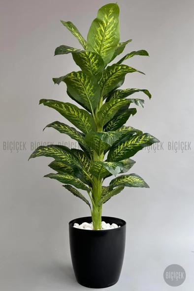 BİÇİÇEK YAPAY AĞAÇ DİFENBAHYA BAMBU GÖVDELİ 180CM BÜYÜK BOY KIRIKBEYAZ RENK YAKUT SAKSIDA - 8