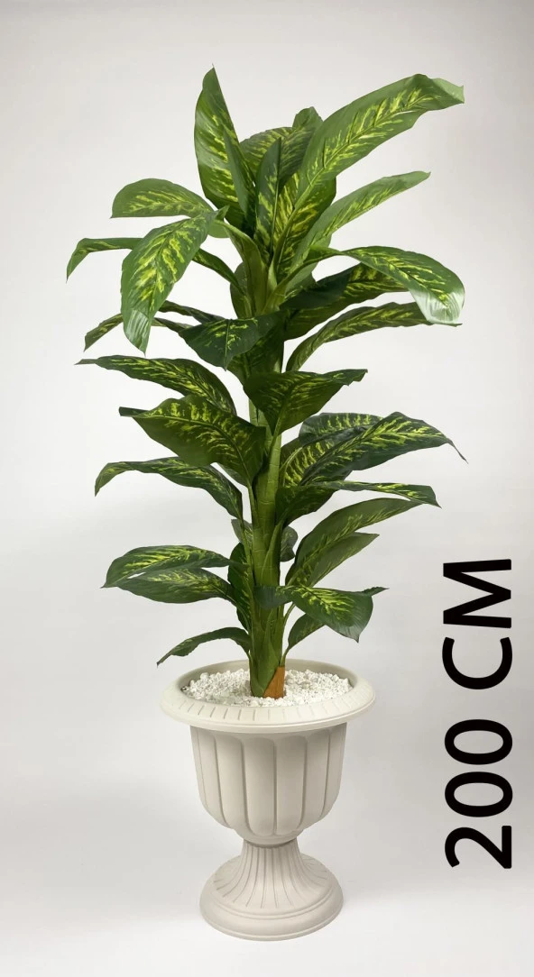 BİÇİÇEK   YAPAY AĞAÇ DİFENBAHYA BAMBU GÖVDELİ 200CM BÜYÜK BOY KIRIK BEYAZ RENK NERGİS SAKSIDA - Resim 2