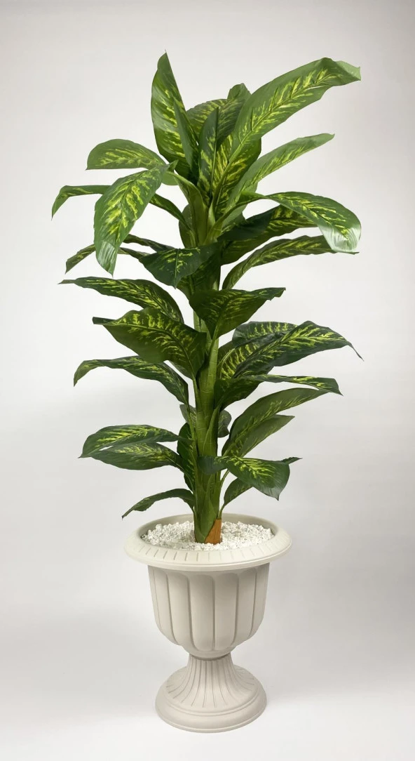 BİÇİÇEK   YAPAY AĞAÇ DİFENBAHYA BAMBU GÖVDELİ 200CM BÜYÜK BOY KIRIK BEYAZ RENK NERGİS SAKSIDA - Resim 3