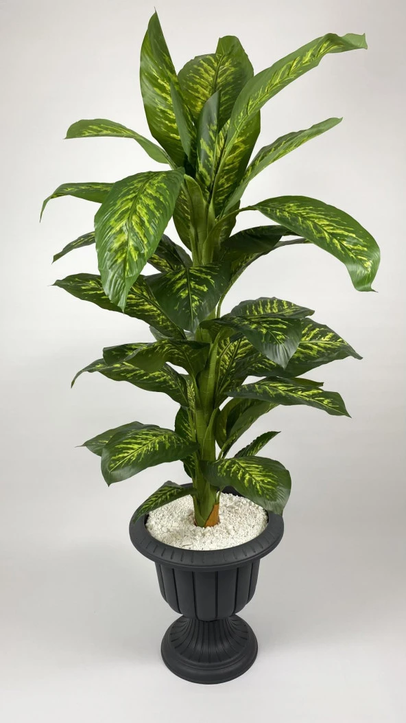 BİÇİÇEK YAPAY AĞAÇ DİFENBAHYA BAMBU GÖVDELİ 200CM BÜYÜK BOY ANTRASİT RENK NERGİS SAKSIDA