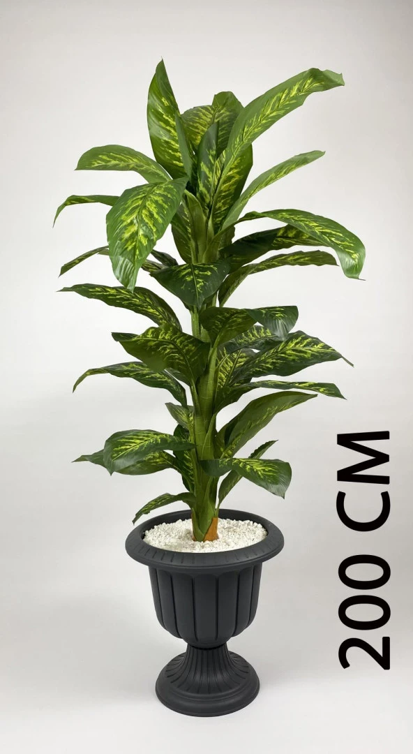 BİÇİÇEK YAPAY AĞAÇ DİFENBAHYA BAMBU GÖVDELİ 200CM BÜYÜK BOY ANTRASİT RENK NERGİS SAKSIDA - 2