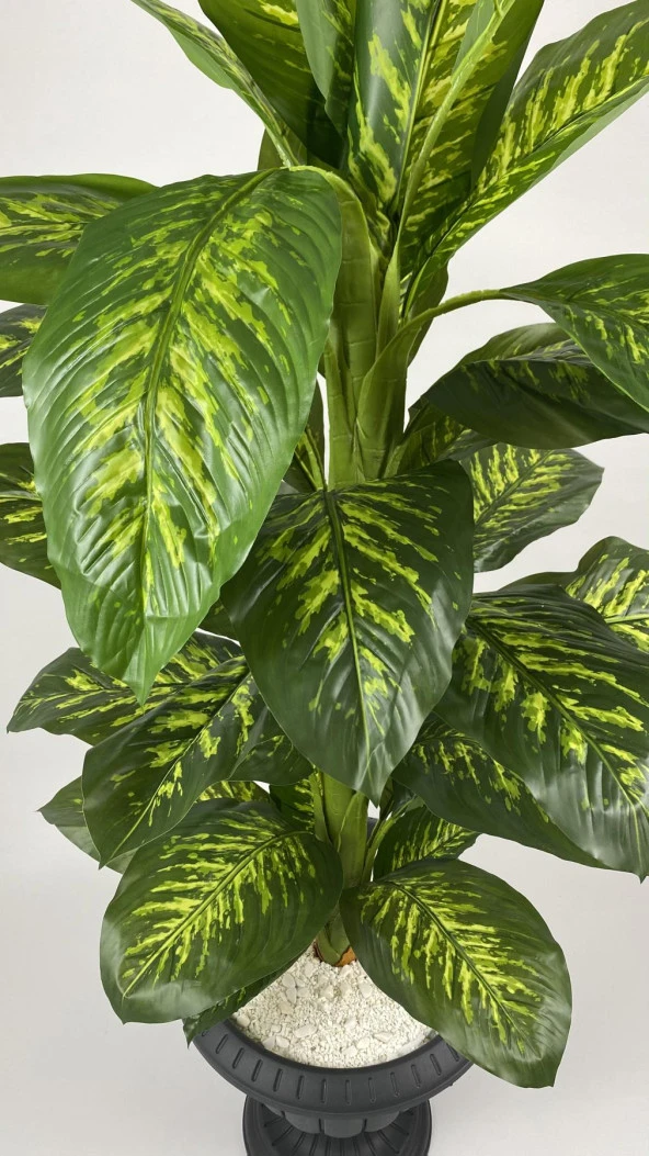 BİÇİÇEK YAPAY AĞAÇ DİFENBAHYA BAMBU GÖVDELİ 200CM BÜYÜK BOY ANTRASİT RENK NERGİS SAKSIDA - 4