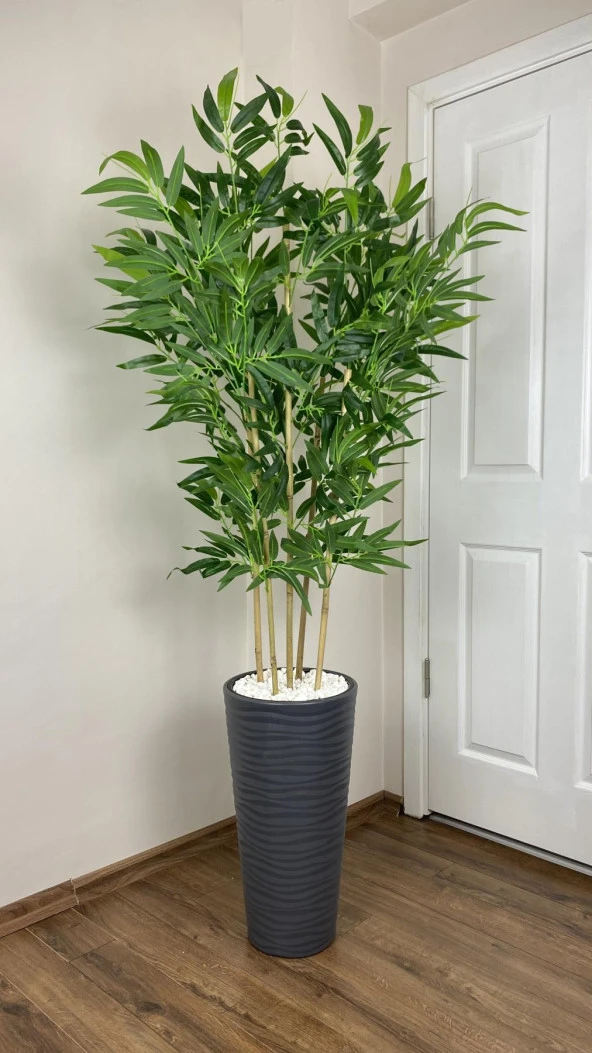 BİÇİÇEK YAPAY BAMBU AĞACI 185CM BÜYÜK YAPRAKLI 5 BAMBULU ANTRASİT RENK KUMSAL SAKSIDA YAPAY AĞAÇ - 2