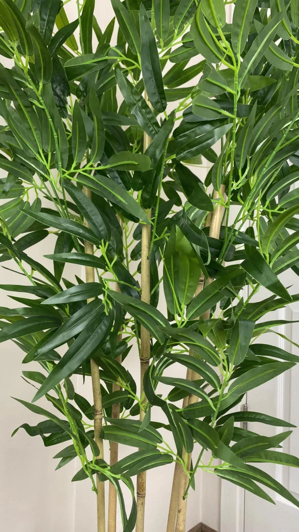 BİÇİÇEK YAPAY BAMBU AĞACI 170CM BÜYÜK YAPRAKLI 5 BAMBULU ANTRASİT RENK NERGİS SAKSIDA YAPAY AĞAÇ