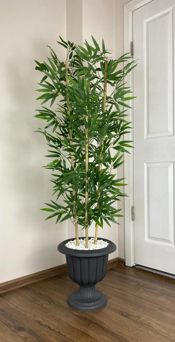 BİÇİÇEK   YAPAY BAMBU AĞACI  170CM YOĞUN YAPRAKLI ANTRASİT RENK NERGİS SAKSIDA ürün görseli