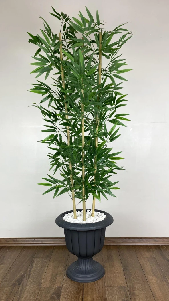 BİÇİÇEK   YAPAY BAMBU AĞACI  170CM YOĞUN YAPRAKLI ANTRASİT RENK NERGİS SAKSIDA - Resim 2