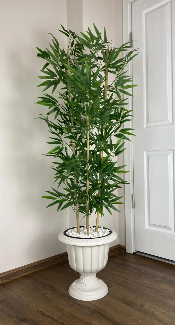 BİÇİÇEK YAPAY BAMBU AĞACI 170CM YOĞUN YAPRAKLI KIRIK BEYAZ RENK NERGİS SAKSIDA