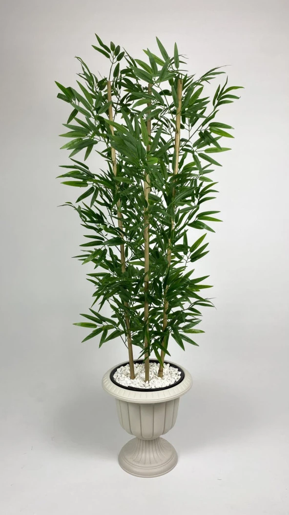 BİÇİÇEK YAPAY BAMBU AĞACI 170CM YOĞUN YAPRAKLI KIRIK BEYAZ RENK NERGİS SAKSIDA - 4
