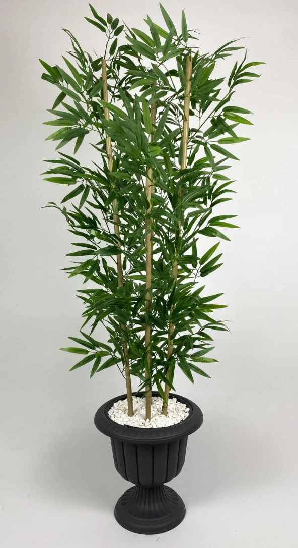 BİÇİÇEK   YAPAY BAMBU AĞACI  170CM YOĞUN YAPRAKLI ANTRASİT RENK NERGİS SAKSIDA - Resim 5