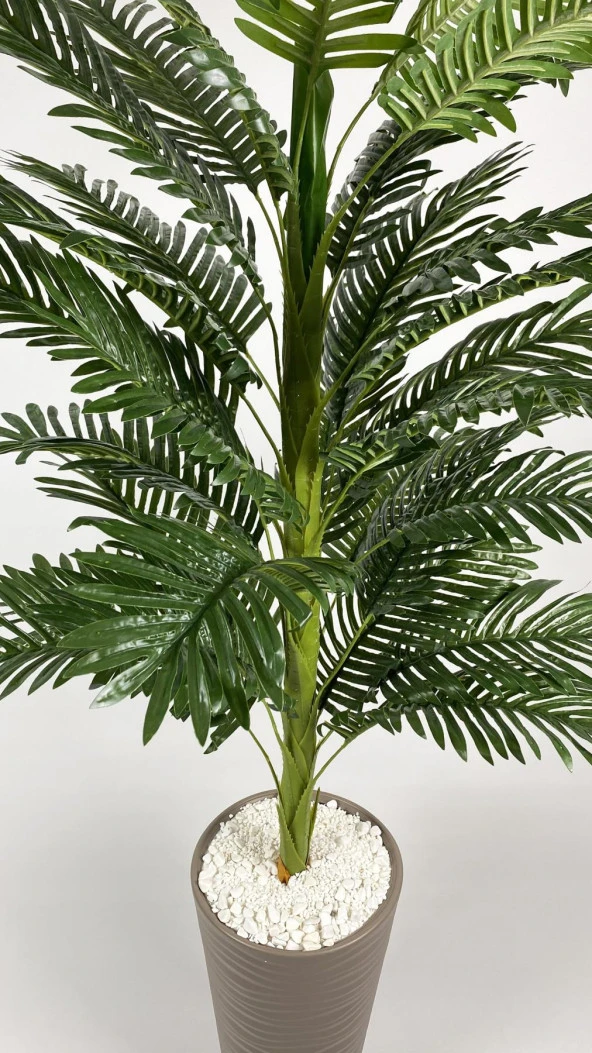 BİÇİÇEK YAPAY AREKA AĞACI BÜYÜK BOY PALMİYE AĞACI DEKORATİF KUMSAL BEj RENK SAKSIDA - 4