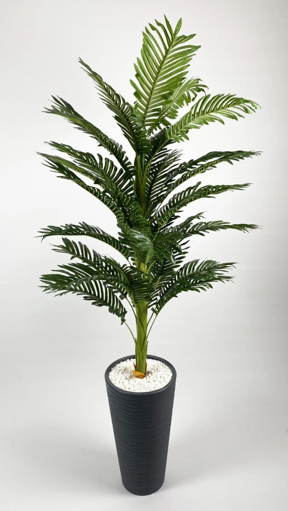 BİÇİÇEK YAPAY AREKA AĞACI BÜYÜK BOY PALMİYE AĞACI DEKORATİF KUMSAL ANTRASİT RENK SAKSIDA