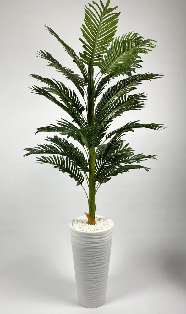 BİÇİÇEK   YAPAY AREKA AĞACI  BÜYÜK BOY PALMİYE AĞACI DEKORATİF KUMSAL BEYAZ RENK SAKSIDA - Resim 3