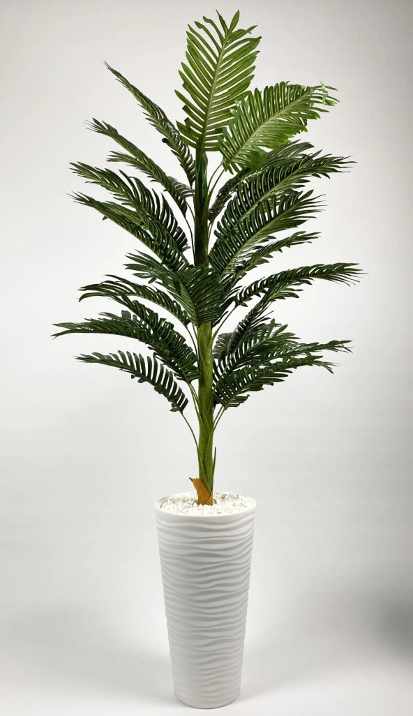 BİÇİÇEK   YAPAY AREKA AĞACI  BÜYÜK BOY PALMİYE AĞACI DEKORATİF KUMSAL BEYAZ RENK SAKSIDA - Resim 4