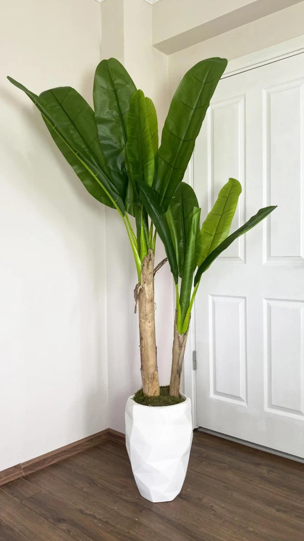 BİÇİÇEK YAPAY MUZ AĞACI VE AREKA AĞACI - 3