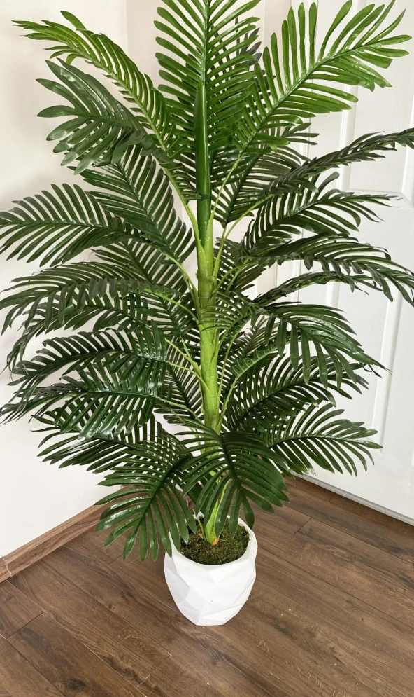 BİÇİÇEK YAPAY AREKA AĞACI BÜYÜK BOY PALMİYE AĞACI BETON SAKSIDA - 4
