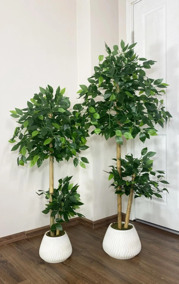 BİÇİÇEK   YAPAY BENJAMİN AĞACI BAMBU GÖVDELİ  140CM + 125CM - 1