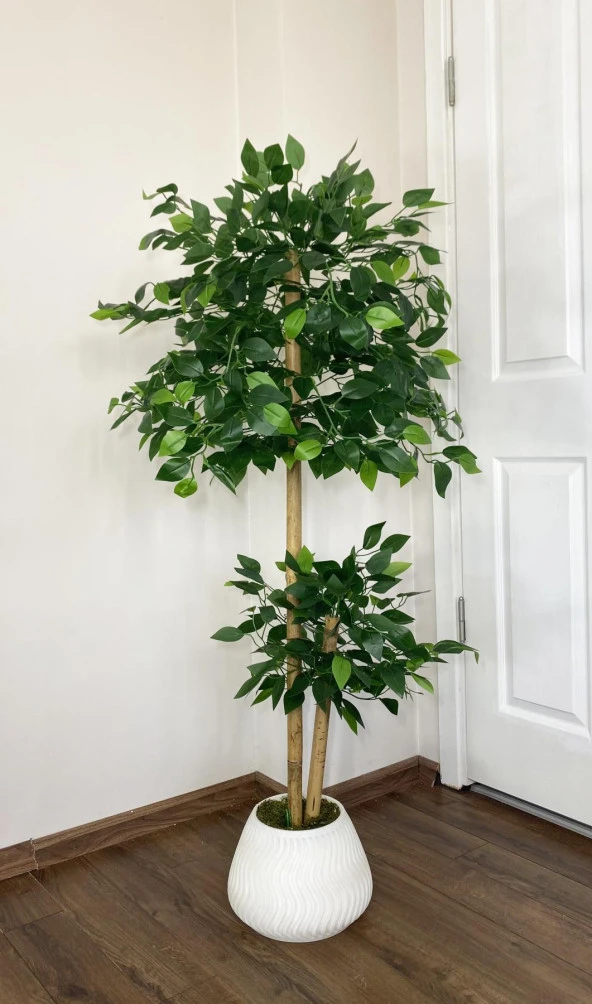 BİÇİÇEK YAPAY BENJAMİN AĞACI BAMBU GÖVDELİ 140CM BÜYÜK SAKSIDA YOĞUN YAPRAKLI - 2