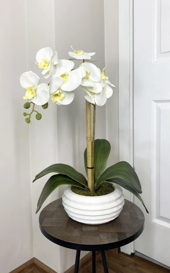 BİÇİÇEK   Yapay Çiçek Dekoratif Beton Saksıda Büyük boy Beyaz Islak Orkide ürün görseli