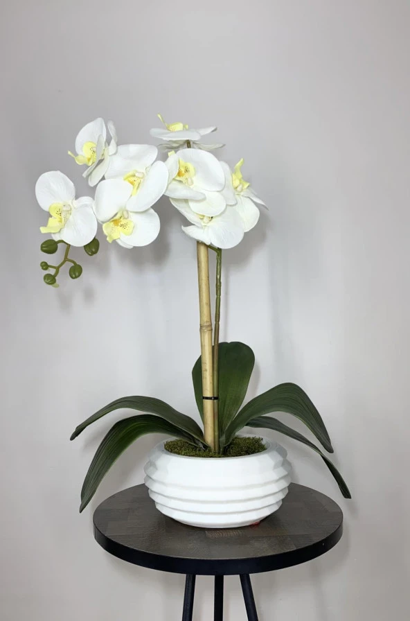 BİÇİÇEK   Yapay Çiçek Dekoratif Beton Saksıda Büyük boy Beyaz Islak Orkide - Resim 2