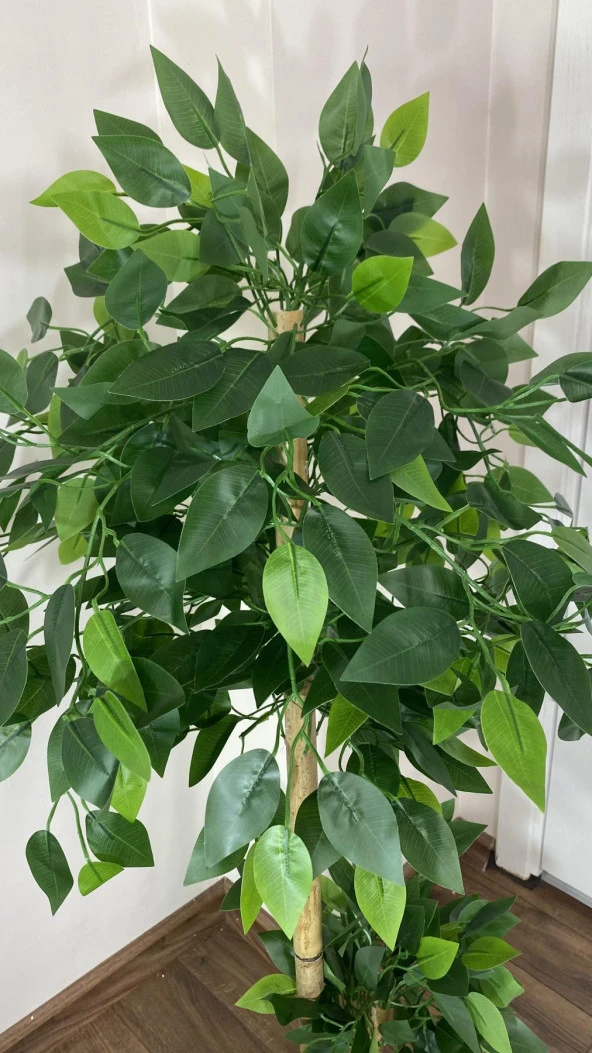 BİÇİÇEK   Yapay Benjamin ağacı Bambu Gövdeli  125cm - Resim 4