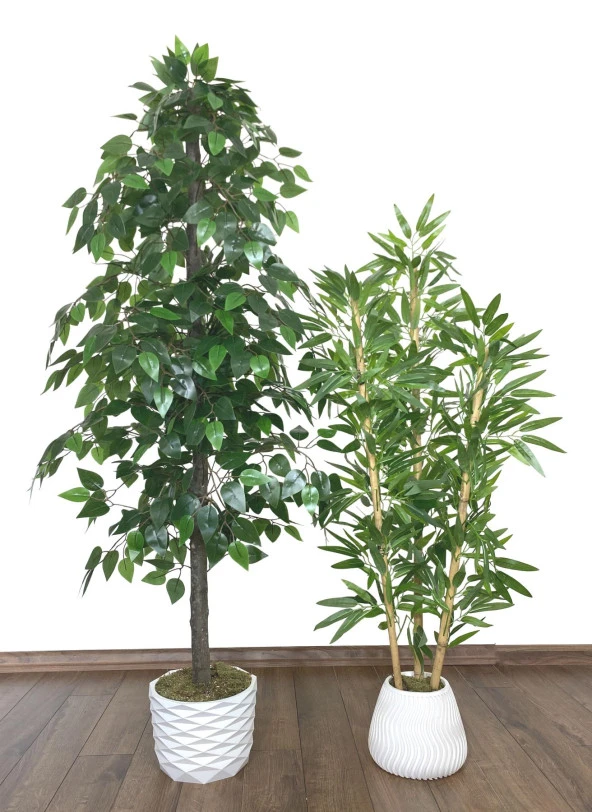 BİÇİÇEK   YAPAY BENJAMİN AĞACI 160CM VE YAPAY BAMBU AĞACI 125CM YOĞUN YAPRAKLI - 2