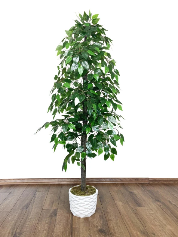 BİÇİÇEK   YAPAY BENJAMİN AĞACI 160CM VE YAPAY BAMBU AĞACI 125CM YOĞUN YAPRAKLI - 4