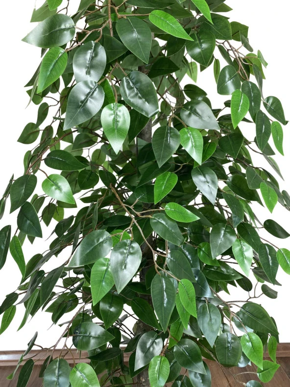 BİÇİÇEK   Yapay Benjamin ağacı 160cm ürün görseli